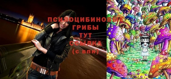 соль ск Алексин