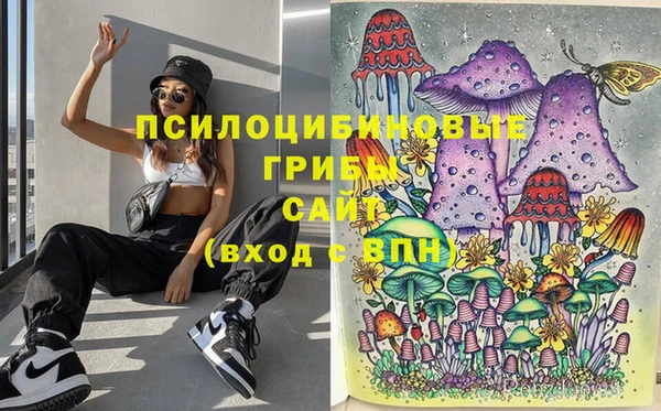 сатива Абдулино