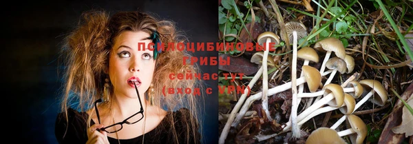 каннабис Алзамай